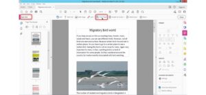 How to Crop A PDF to A Specific Size